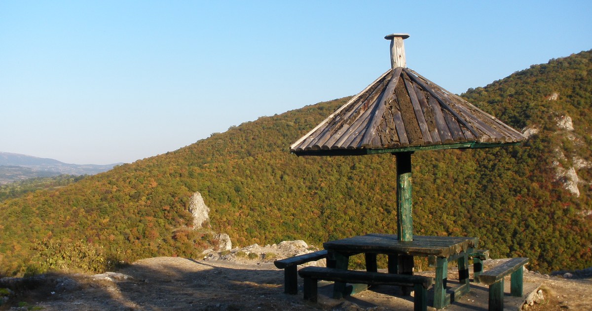 Popovica