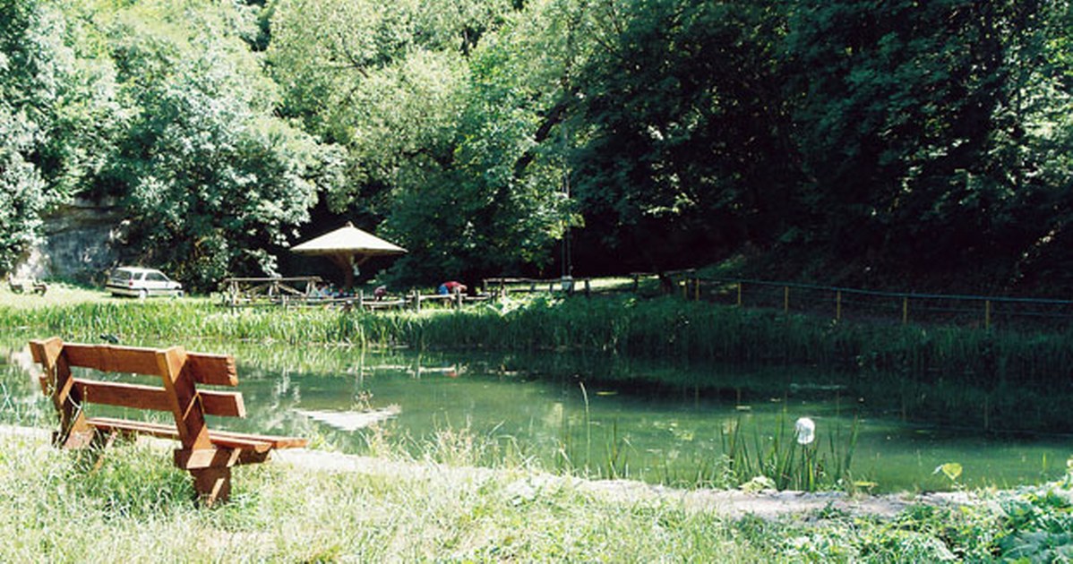Ozren Gurdno