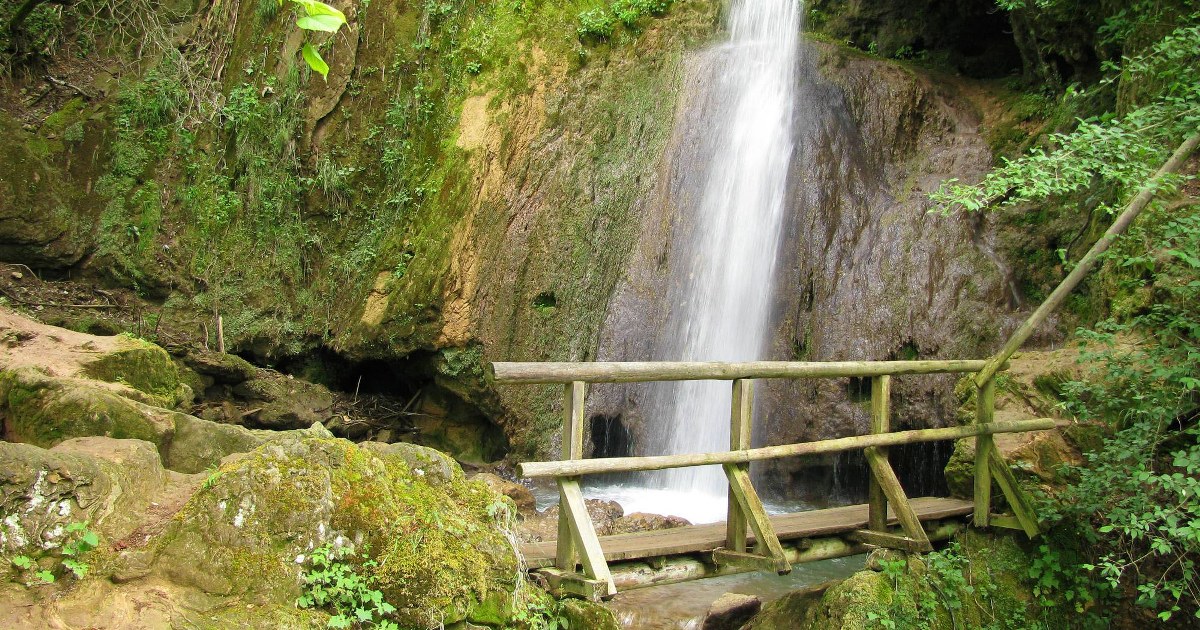 Ripaljka Sokobanja