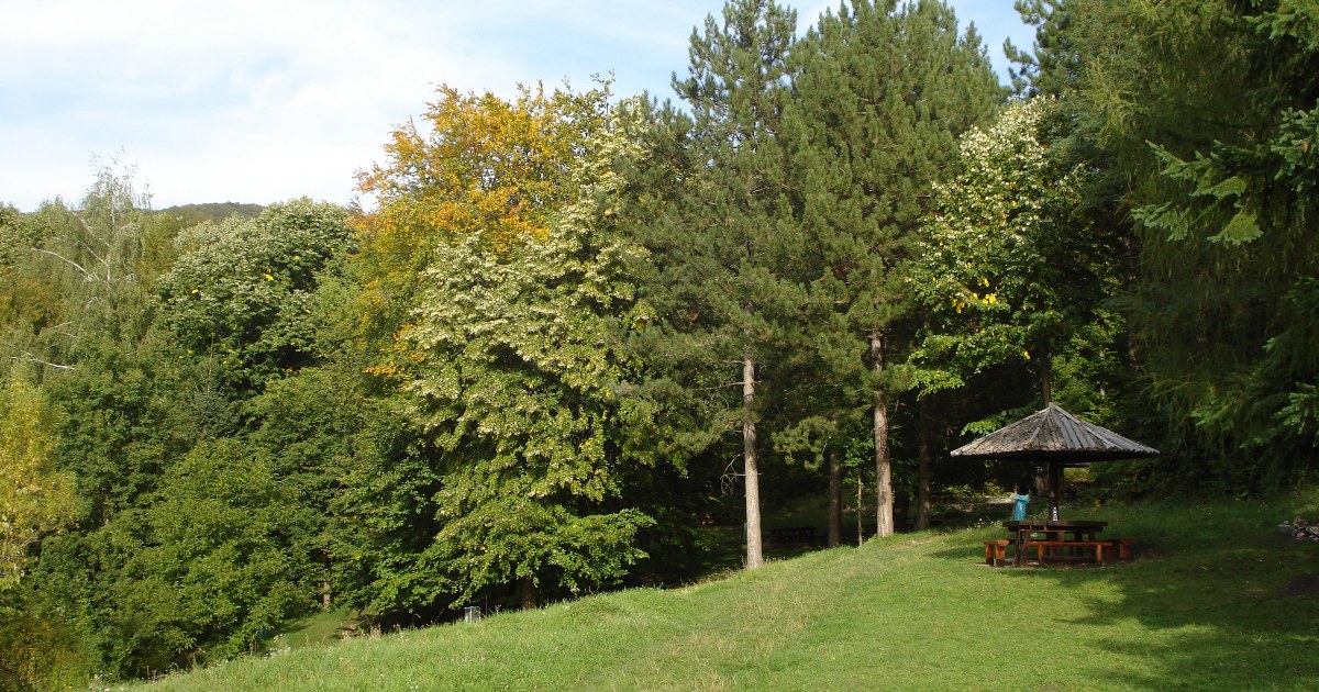 Kalinovica Sokobanja