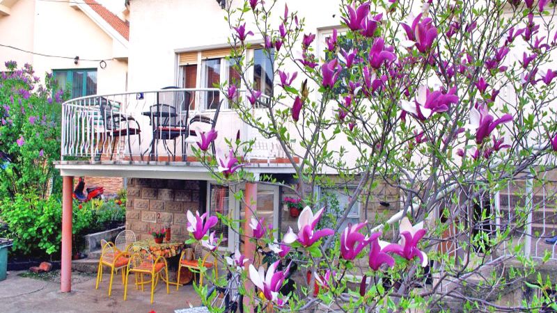 Apartmani Sanje Nikolić uz VAUČER